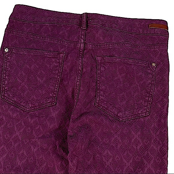Pilcro & The Letterpress Script size 30 textured maroon skinny pants - Picture 9 of 16
